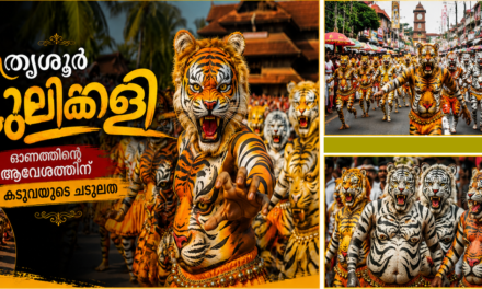 തൃശൂർ പുലിക്കളി ഓണത്തിന്റെ ആവേശത്തിന് കടുവയുടെ ചടുലത
